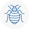 Bed Bug Extermination In Greatyarmouth