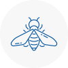 Bee Nest Removal Greatyarmouth