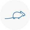 Mice Exterminators In Greatyarmouth