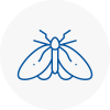 Moth Control Specialists In Greatyarmouth