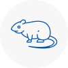 Rat Control Greatyarmouth