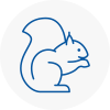Greatyarmouth Rodent Removals