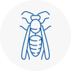 Greatyarmouth Wasp Nest Removal